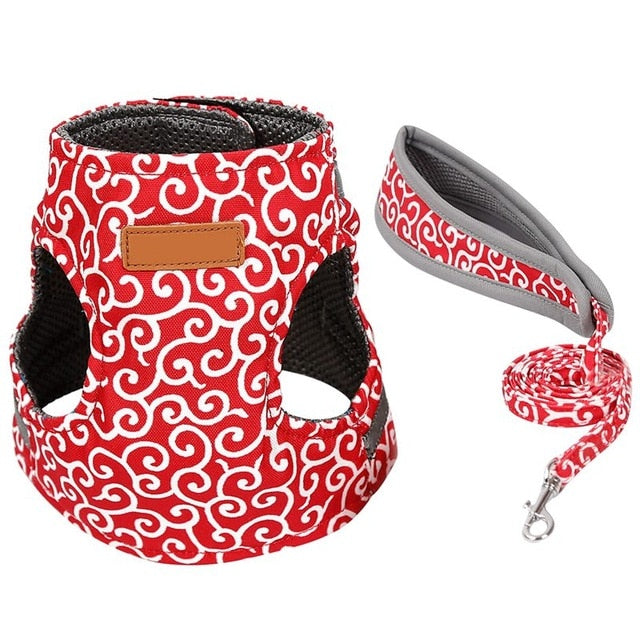 Pet Dog Cat Vest Outdoor Travel Harness Leash Set